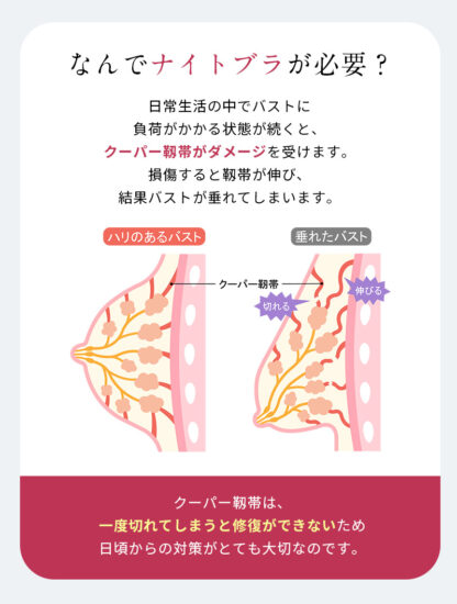 おやすみ前の極上ナイトブラ ノンワイヤー ec-099